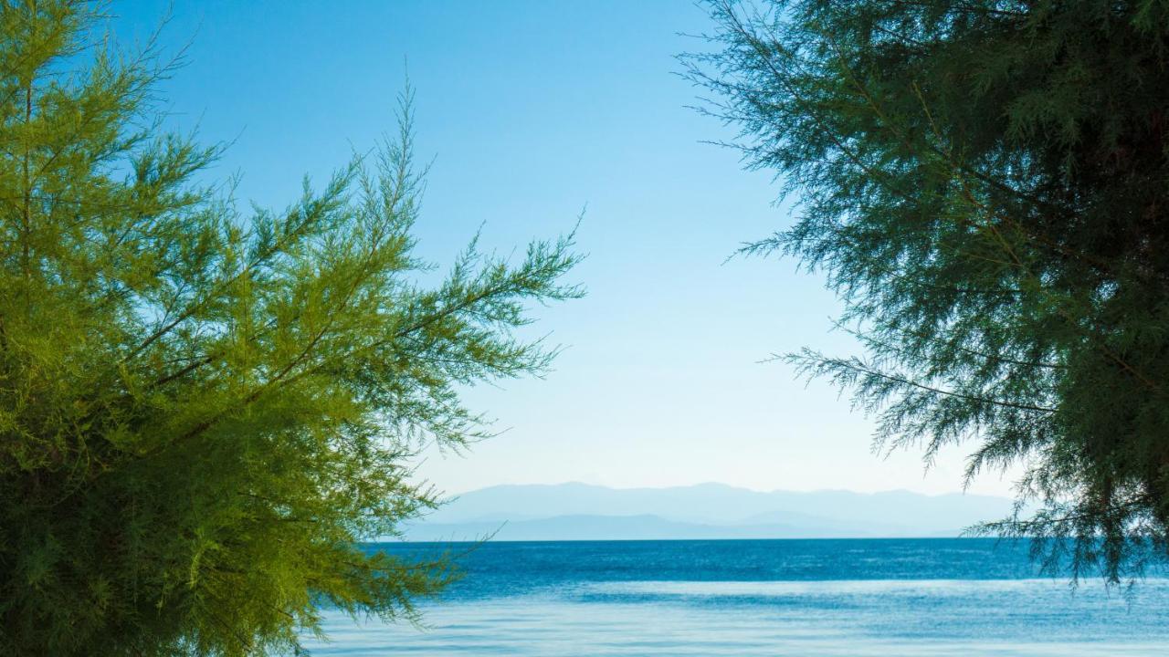 Afissos Seaside Studios Exterior photo